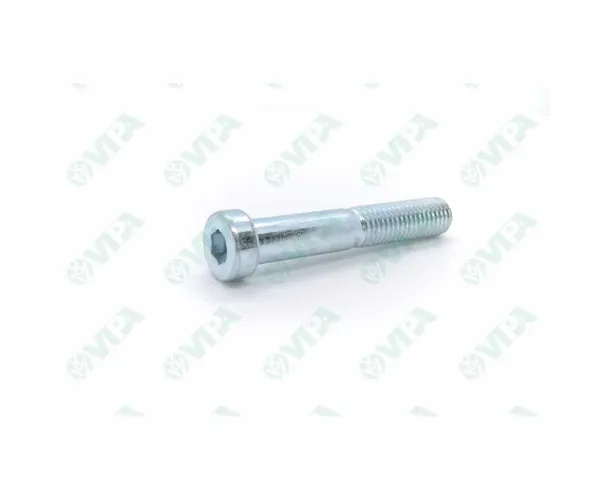 TORNILLO DIN 7984 8.8 M8X55
