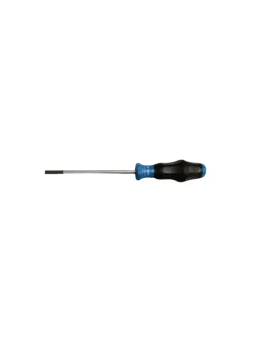 DESTORNILLADOR BOCA RECTA 1,0 X 5,5 X 125 MM