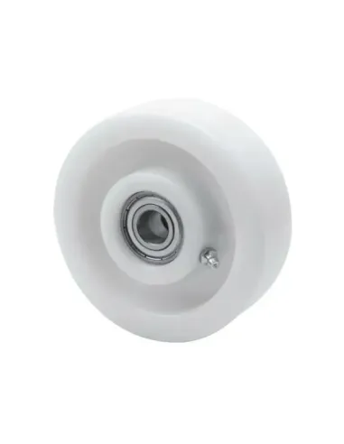 RUEDA FTB250-25-60 NYLON BOLAS Carga 1250 Kg