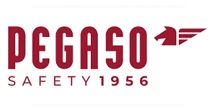 PEGASO