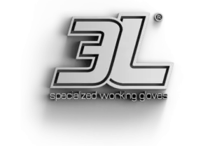 3L